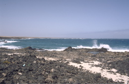 Ausflug, Fuerteventura Nordkueste